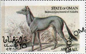 Stamp, Bedouin Greyhound of Akkaba, Cinderellas,  , Animals (Fauna), Dogs