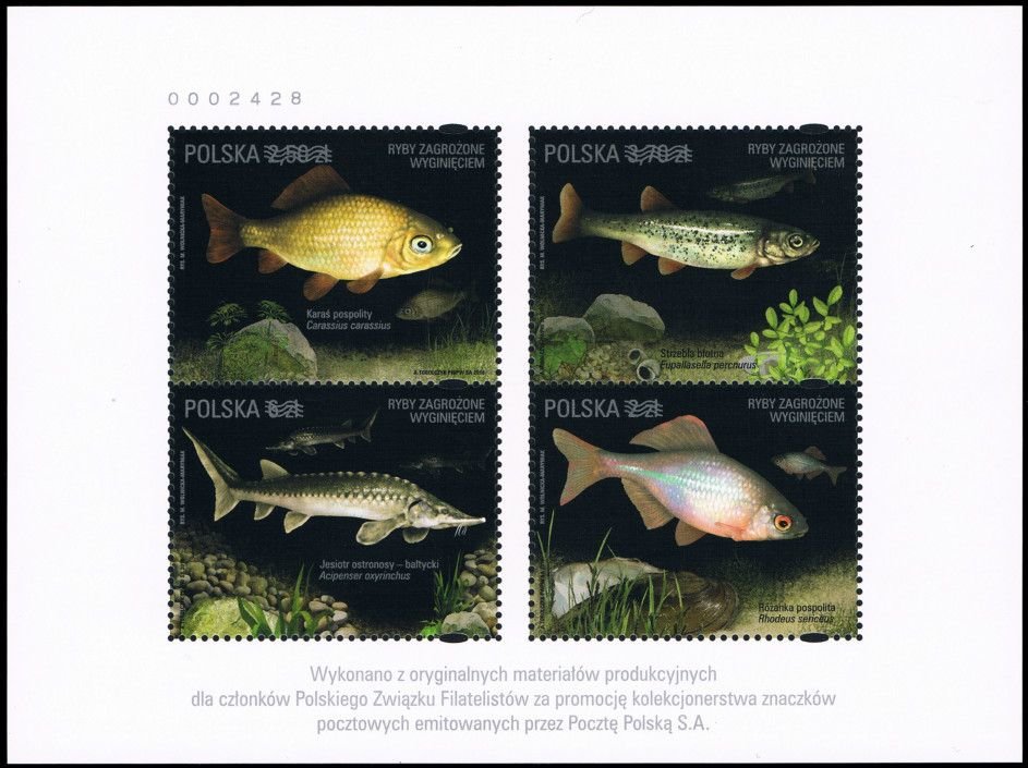 Fish threatened with extinction