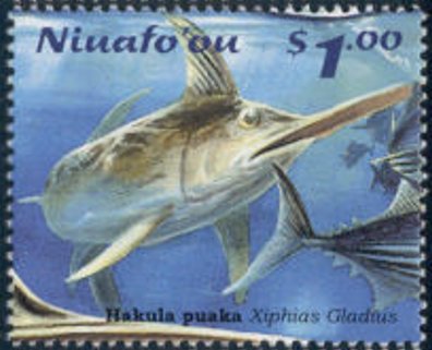 Swordfish (Xiphias gladius)