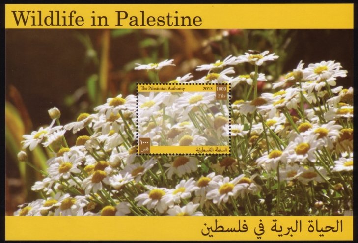 Flora and Fauna of Palestine