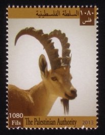 Flora and Fauna of Palestine