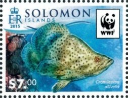 Stamp, Humpback grouper (Cromileptes altivelis), Solomon Islands,  , Animals (Fauna), Fishes, WWF