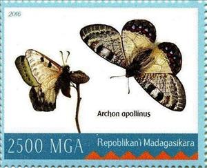 Stamp, Archos apollinus, Cinderellas,  , Animals (Fauna), Butterflies, Insects
