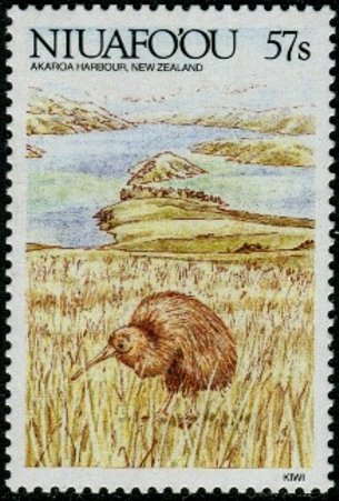New Zealand & Kiwi (Apteryx australis)