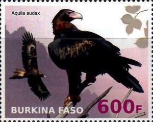 Stamp, Aquila audax, Cinderellas,  , Animals (Fauna), Birds, Birds of Prey, Eagles