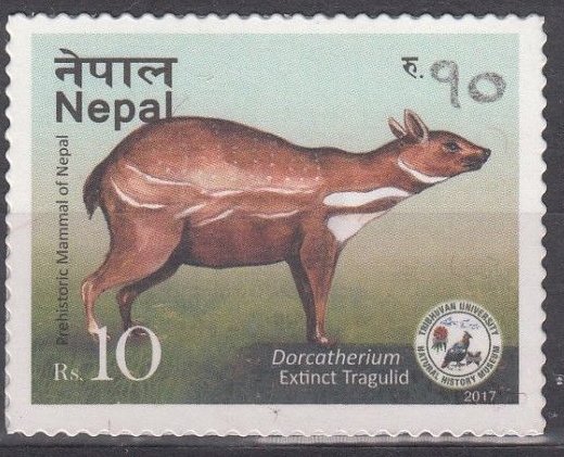 Prehistoric Fauna discovered in Nepal