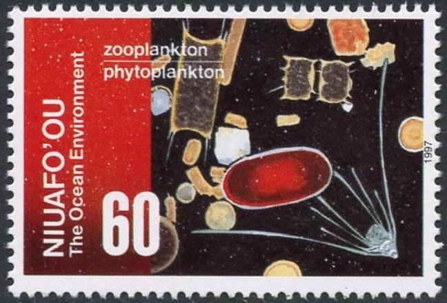 Zooplankton & phytoplankton