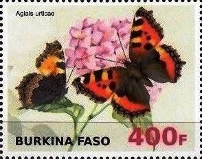Aglias urticae