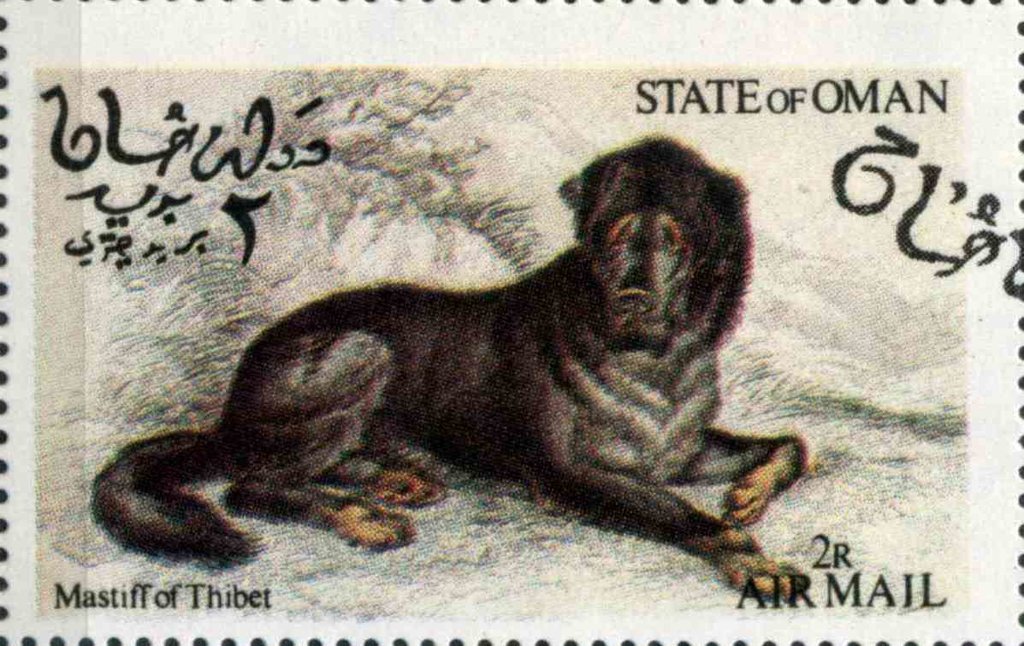 Mastiff of Thibet