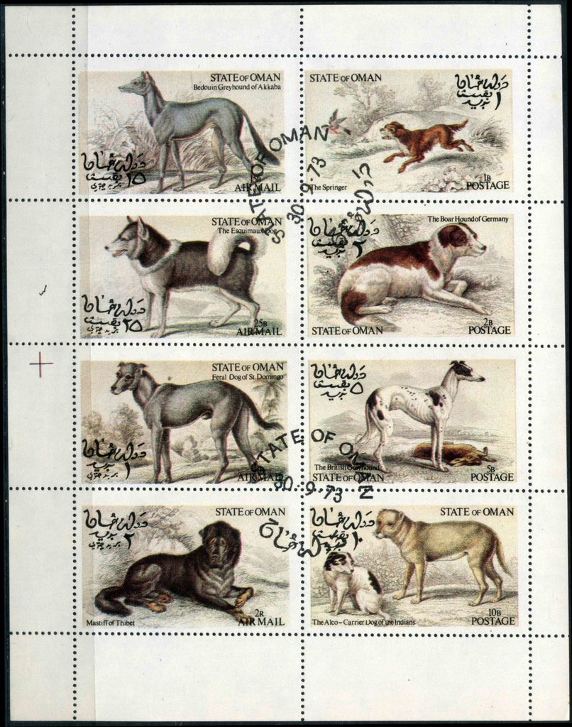 Dogs
