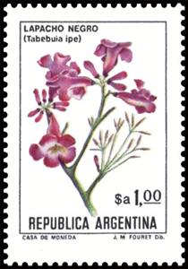 Stamp, Lapacho Negro (Tabebuia impetiginosa), Argentina,  , Flowers, Plants (Flora)