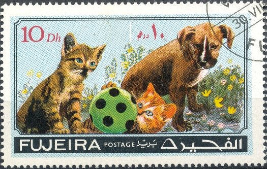 Two Cats and a Dog Playing with a Ball