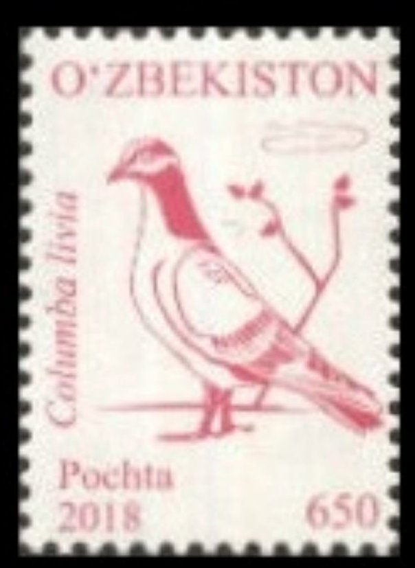 Birds of Uzbekistan (Part II)