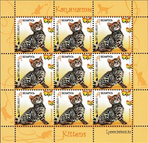 Mini Sheet, Bengal, Belarus,  , Animals (Fauna), Cats, Mammals