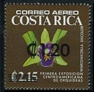 Orchids surcharged