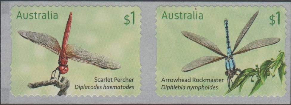 Dragonflies