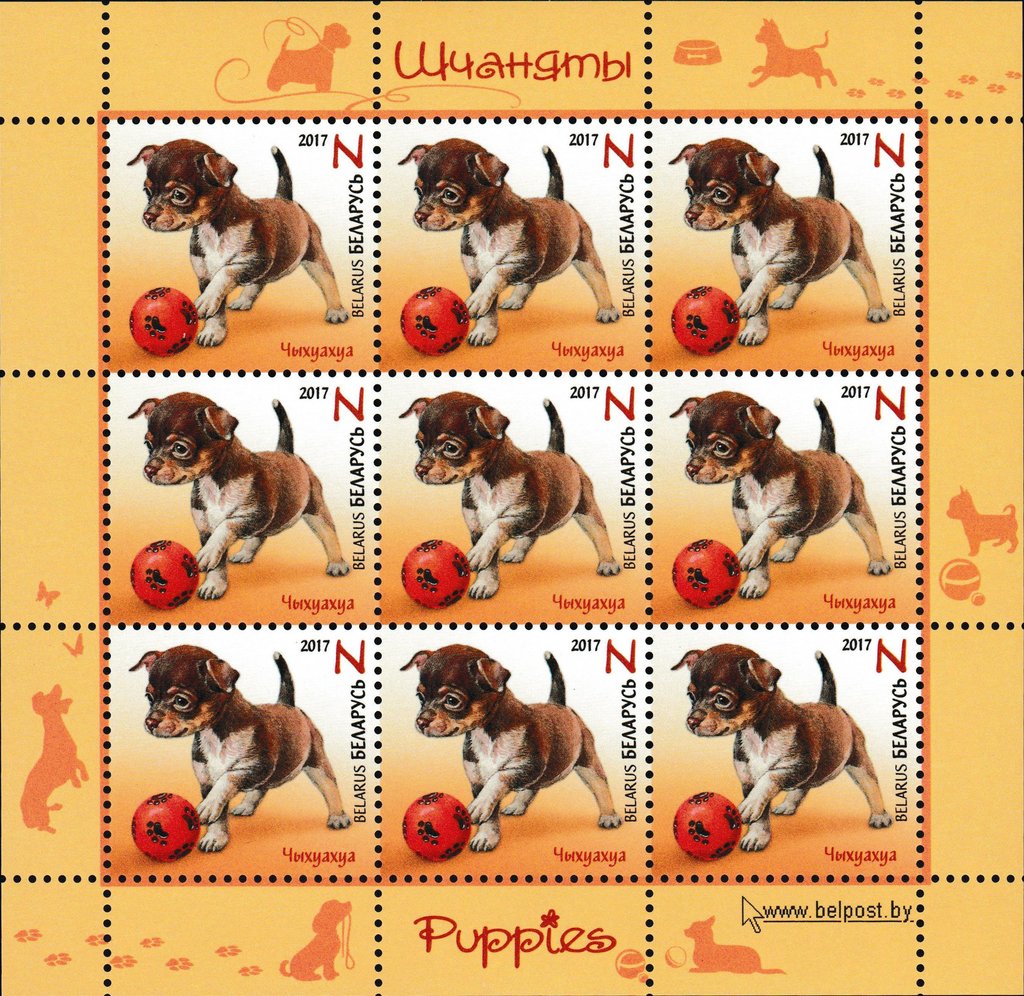 Chihuahua