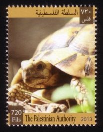 Flora and Fauna of Palestine