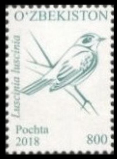 Birds of Uzbekistan (Part II)