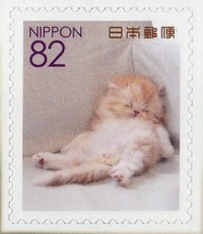 Domestic cat