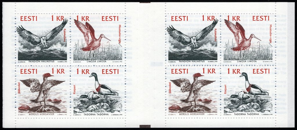 Conservation on the Baltic coast: birds.