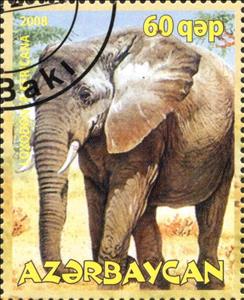 Stamp, Loxodonta Africana, Cinderellas,  , Animals (Fauna)