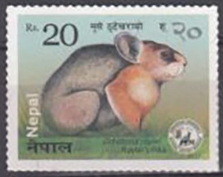 Nepali Wildlife