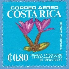 Stamp, Epidendrum mirabile, Costa Rica,  , Flowers, Orchids, Plants (Flora)