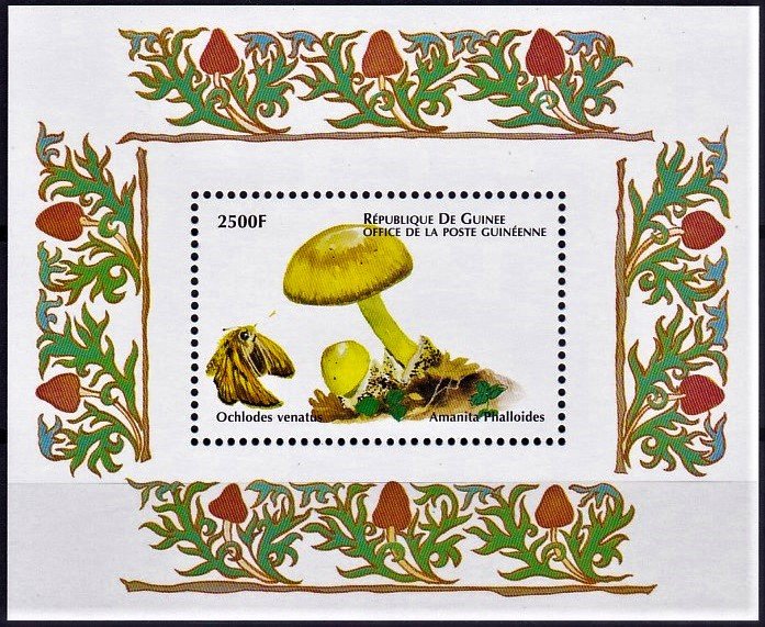 Amanita phalloides