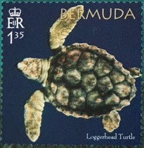 Stamp, 50th Anniversary of the Bermuda Turtle Project, Bermuda,  , Animals (Fauna), Reptiles, Sea Life, Turtles