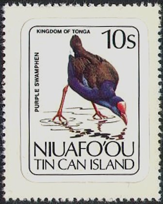 Purple Swamphen (Porphyrio melanotus)