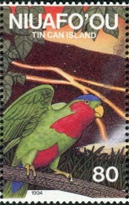 Blue-crowned Lorikeet (Vini australis)