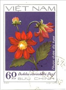 Stamp, Red single dahlias (Dahlia variabilis Desf.), Vietnam,  , Flowers
