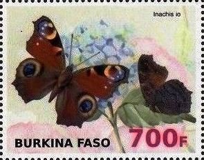 Inachis io