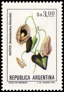 Stamp, Patito (Aristolochia littoralis), Argentina,  , Flowers, Plants (Flora)