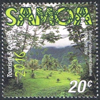 Landscape with palm-trees
