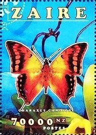 Charaxes candiope