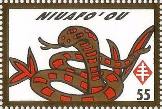 Year of the Snake