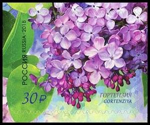 Stamp, Hortensia, Russia,  , Flowers, Plants (Flora)