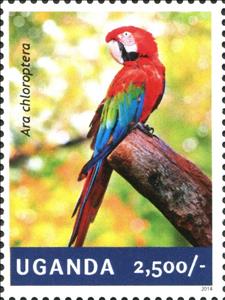 Stamp, Red-and-green Macaw (Ara chloroptera), Uganda,  , Animals (Fauna), Birds