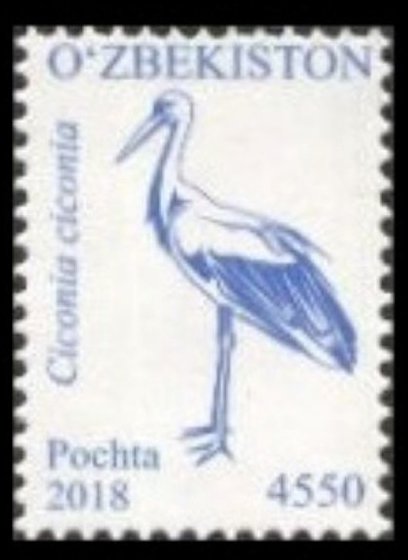 Birds of Uzbekistan (Part II)
