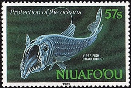 Viper fish (Chauliodus)