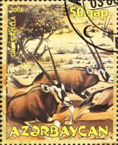 Stamp, Oryx Gazella, Cinderellas,  , Animals (Fauna)