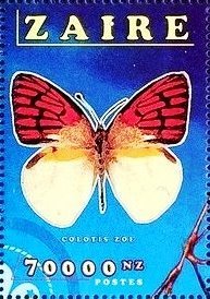 Colotis zoe