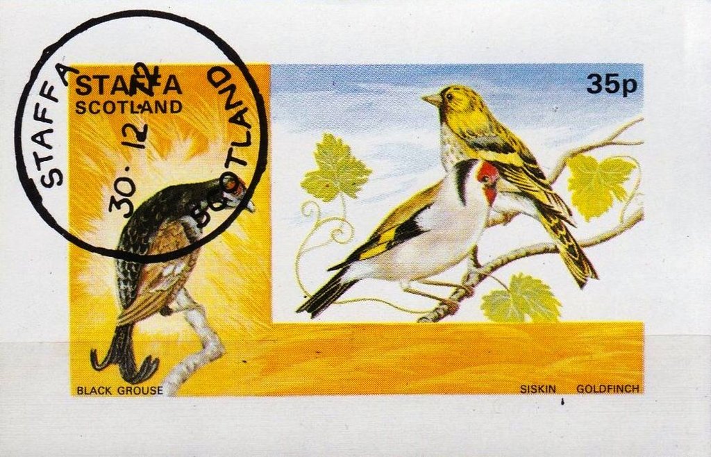 Black grouse, Siskin, Goldfinch