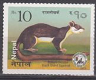 Nepali Wildlife