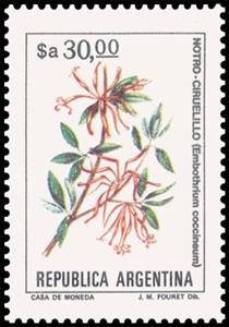 Stamp, Notro - Ciruelillo (Embothrium coccineum), Argentina,  , Flowers, Plants (Flora)