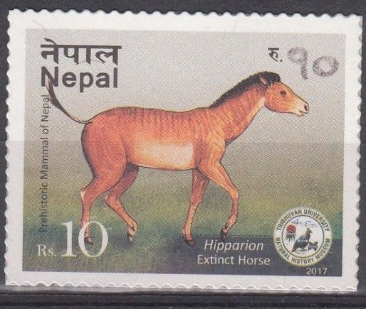 Prehistoric Fauna discovered in Nepal