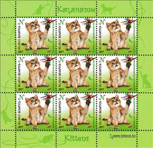Mini Sheet, British Shorthair, Belarus,  , Animals (Fauna), Cats, Mammals