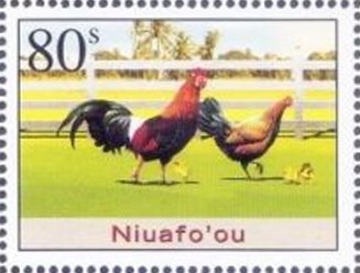 Year of the Rooster